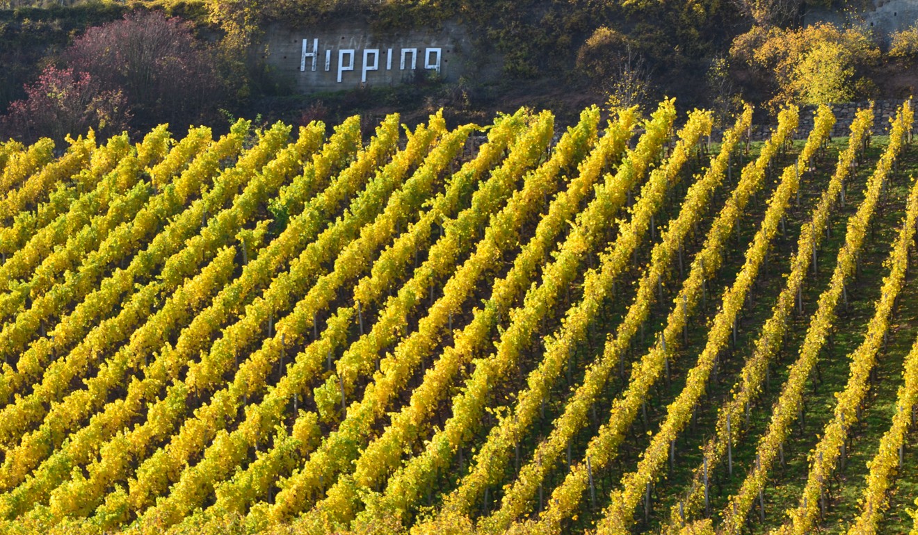 The Weingut Schatzel vineyard, in Germany.