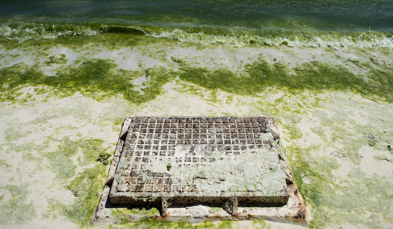 Green algae can be seen in the bay of Boracay on April 24 ahead of its closure. President Rodrigo Duterte ordered the once-idyllic white-sand resort closed to tourists for up to six months. Photo: AFP