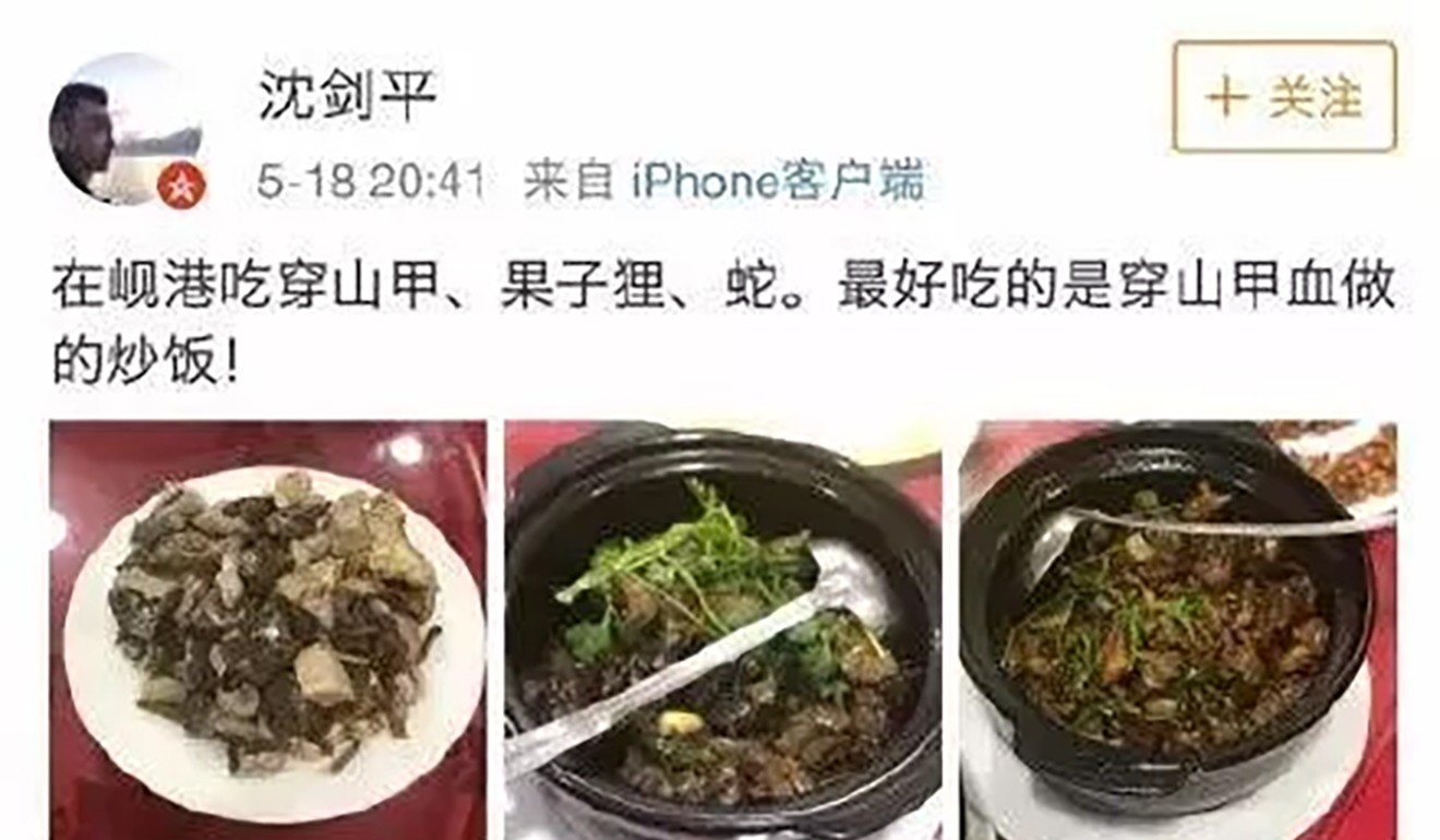 The photos of pangolin meals were posted on Weibo. Photo: 163.com