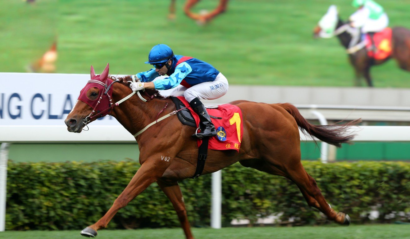 Magic Man Joao Moreira Quits Hong Kong Racing For Japan In Shock Move Hk Racing South China Morning Post