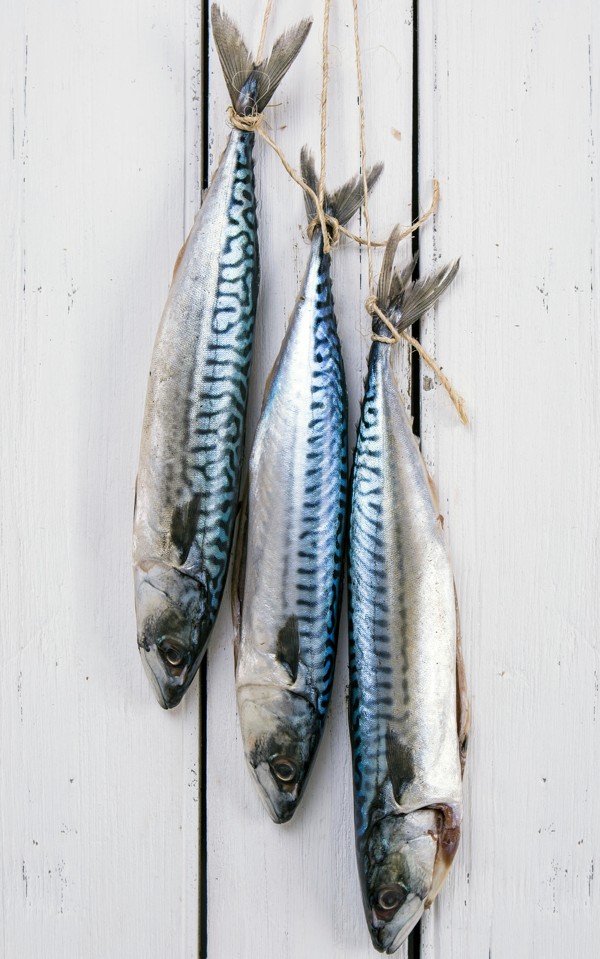 New findings show that eating a high intake of oily fish such as mackerel can delay the onset of menopause. Photo: Alamy