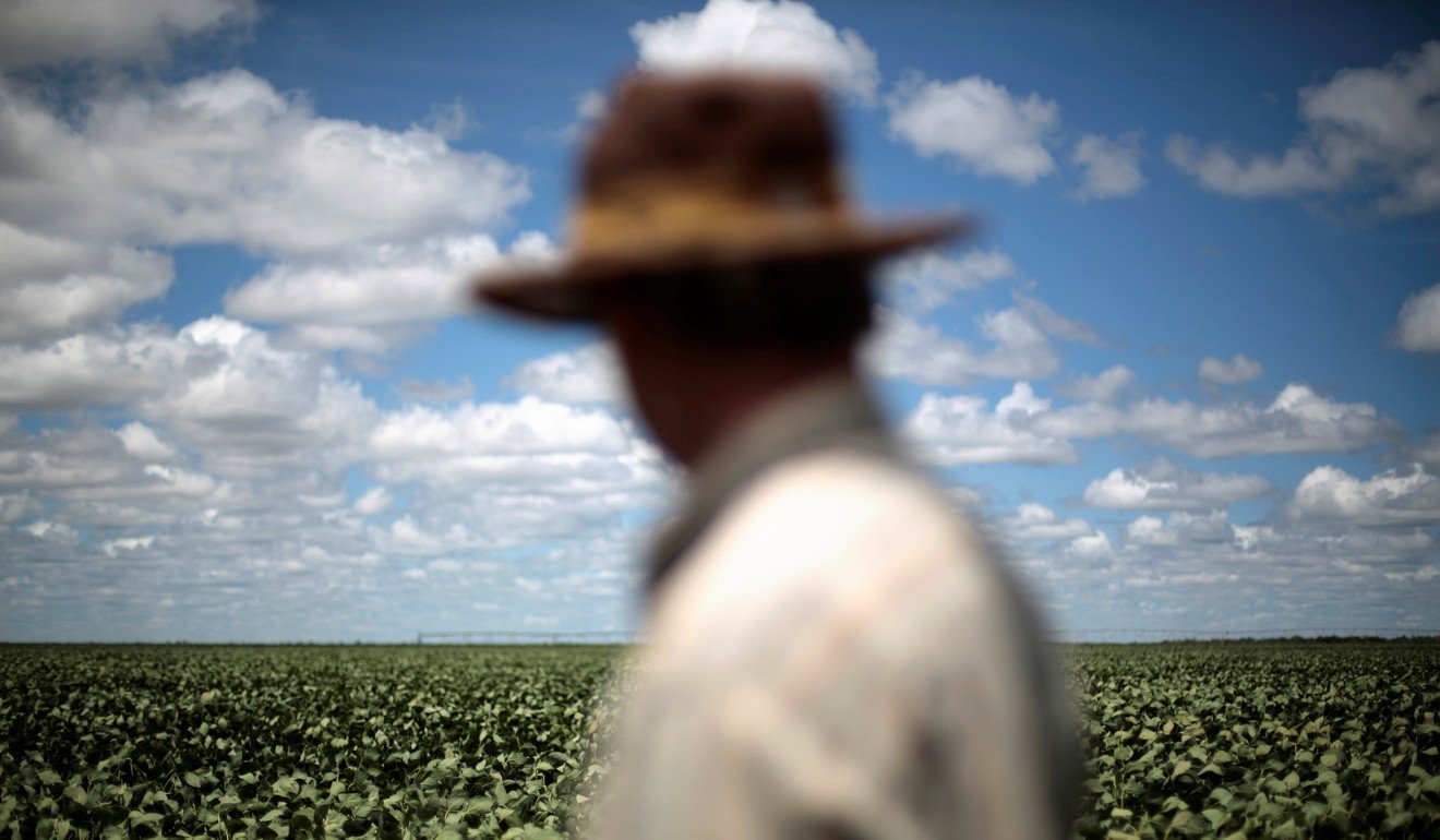 A farmer observes his soybean crops in Barreiras, Brazil in 2014. Photo: Reuters