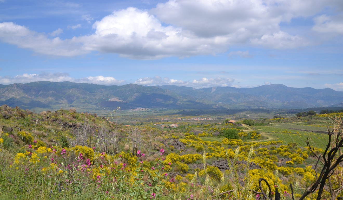 The landscape en route to a lunch prepared by a group of local Sicilian women. Photo: Chris Dwyer
