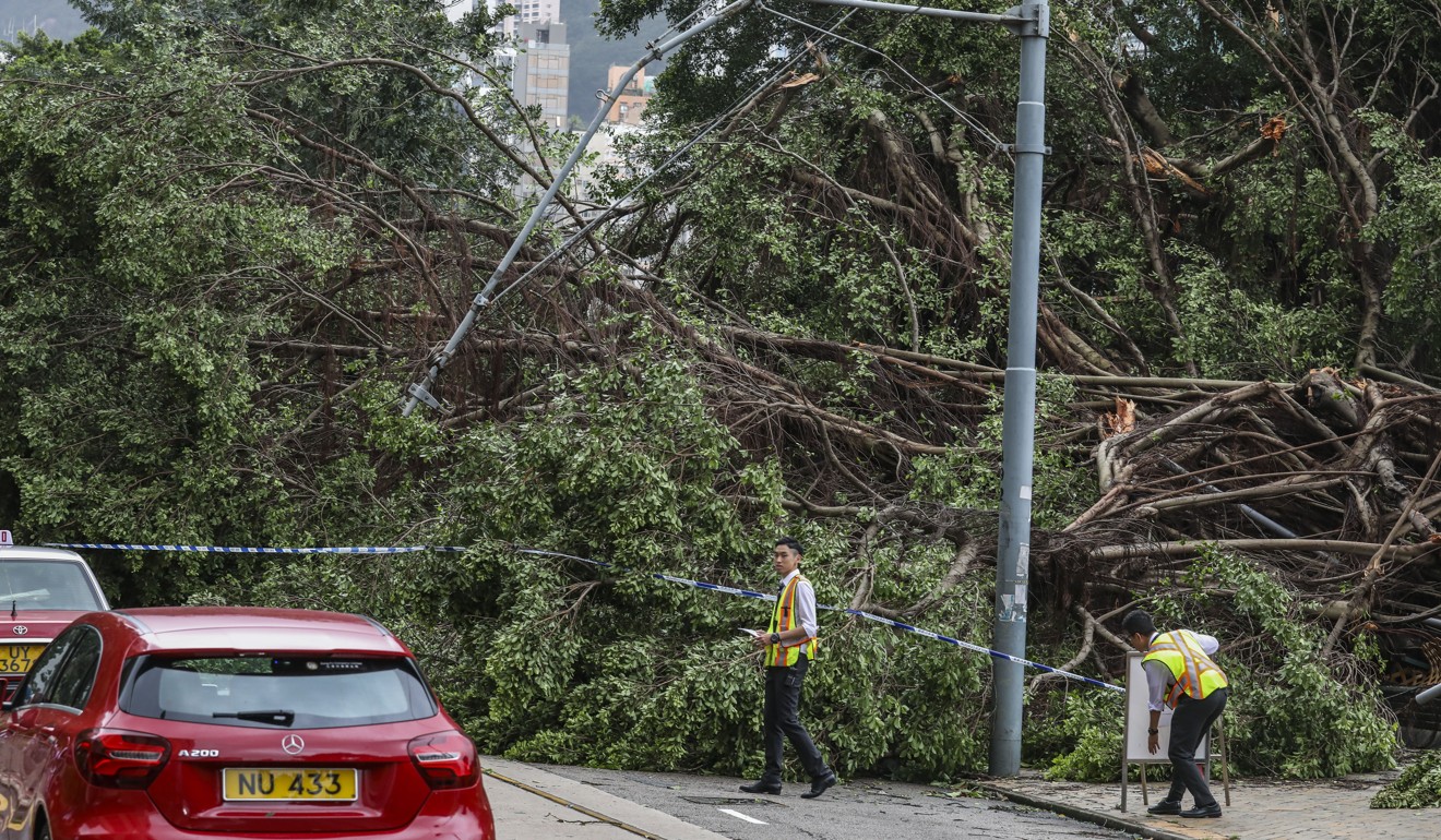 Trees toppled by Typhoon Mangkhut block Wong Nai Chung Road in Happy Valley on September 17. Photo: Nora Tam