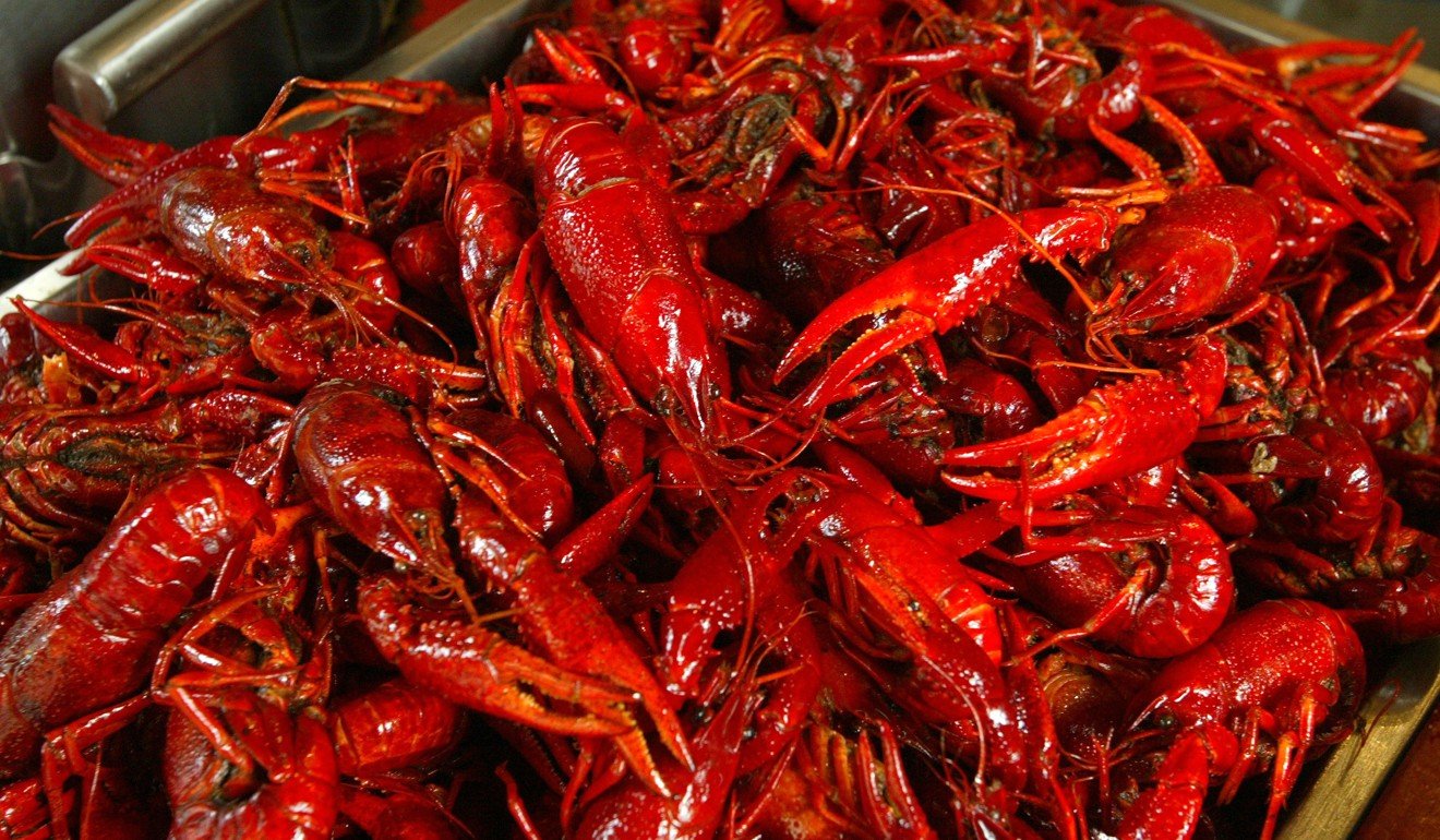 Crayfish were introduced to Japan from the US in the 1920s. Photo: SCMP