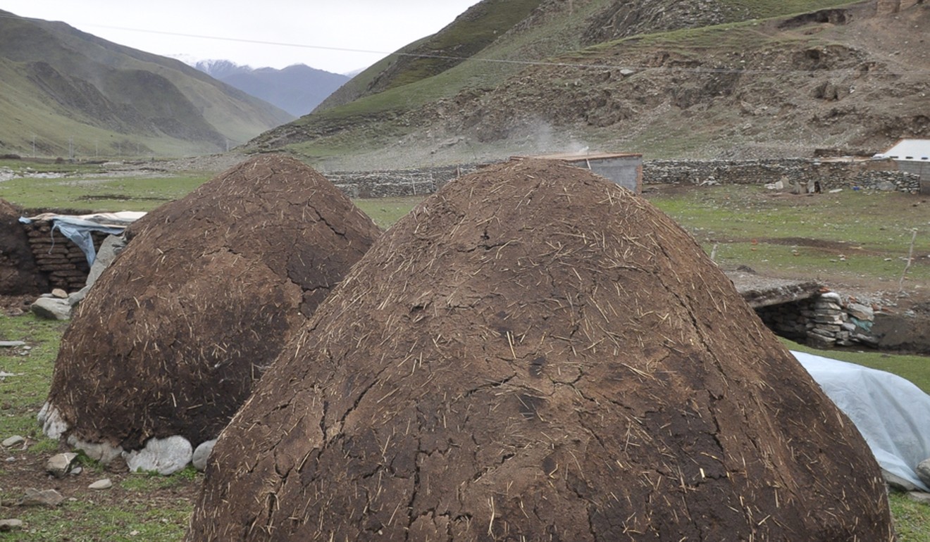 Piles of yak dung Tibetan nomads accumulate in summer for use as fuel in winter. A filmmaking programme helped one nomad, Lhaze, make a film about the dung’s many uses.