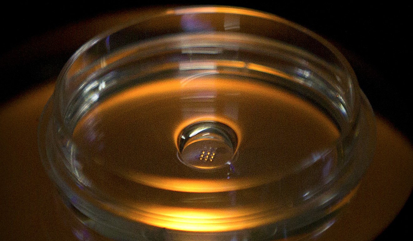 He Jiankui claims that he and other researchers disabled a gene called CCR5 which produced a type of protein that acted like a receptor for HIV and was key to the virus spreading throughout the body. Pictured is a microplate containing embryos that have been edited in a laboratory in Shenzhen in southern China's Guangdong province. Photo: AP