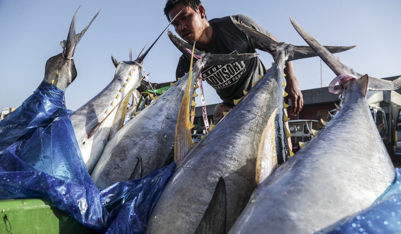 Men dominate the Philippines’ fishing industry and few have a formal education. Photo: EPA
