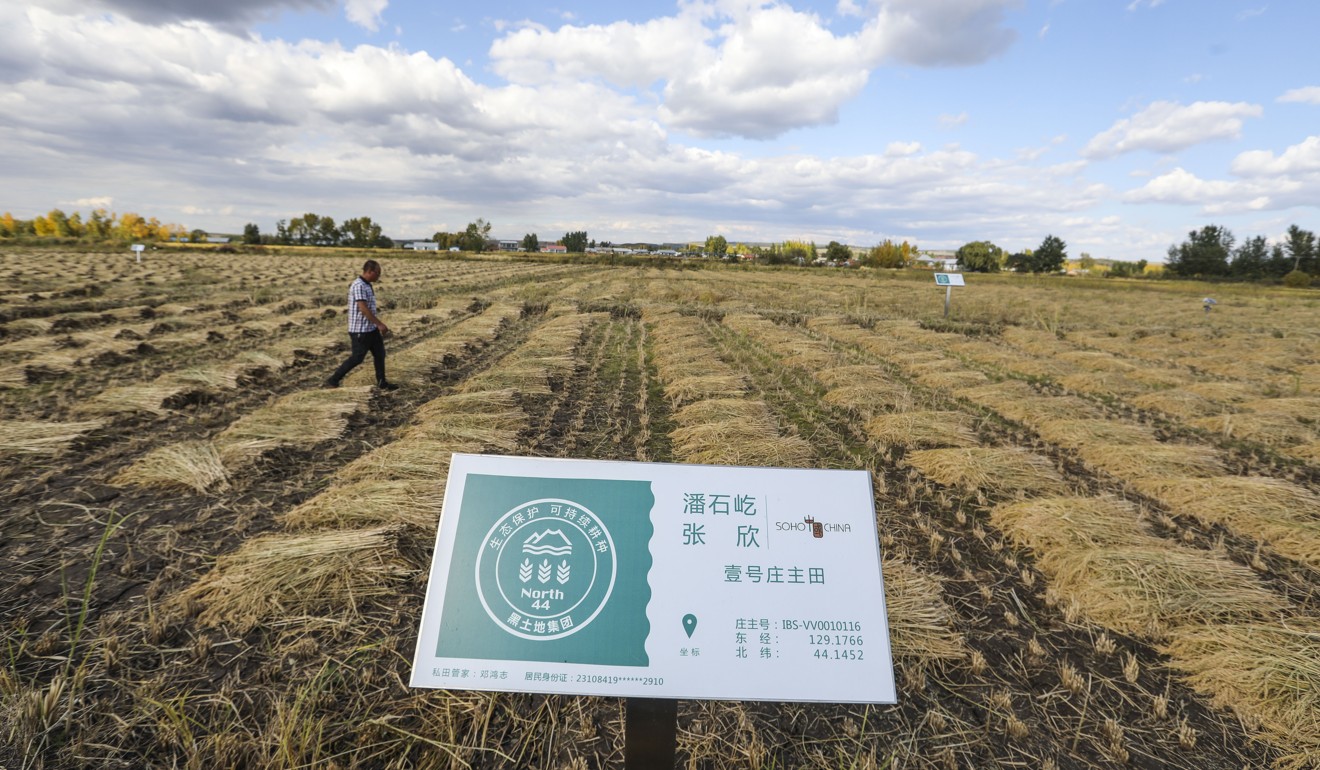 The Xiangshui farm belonging to tycoon Pan Shiyi, a brand ambassador of Black Soil rice, and his wife, Zhang Xin. Picture: Simon Song