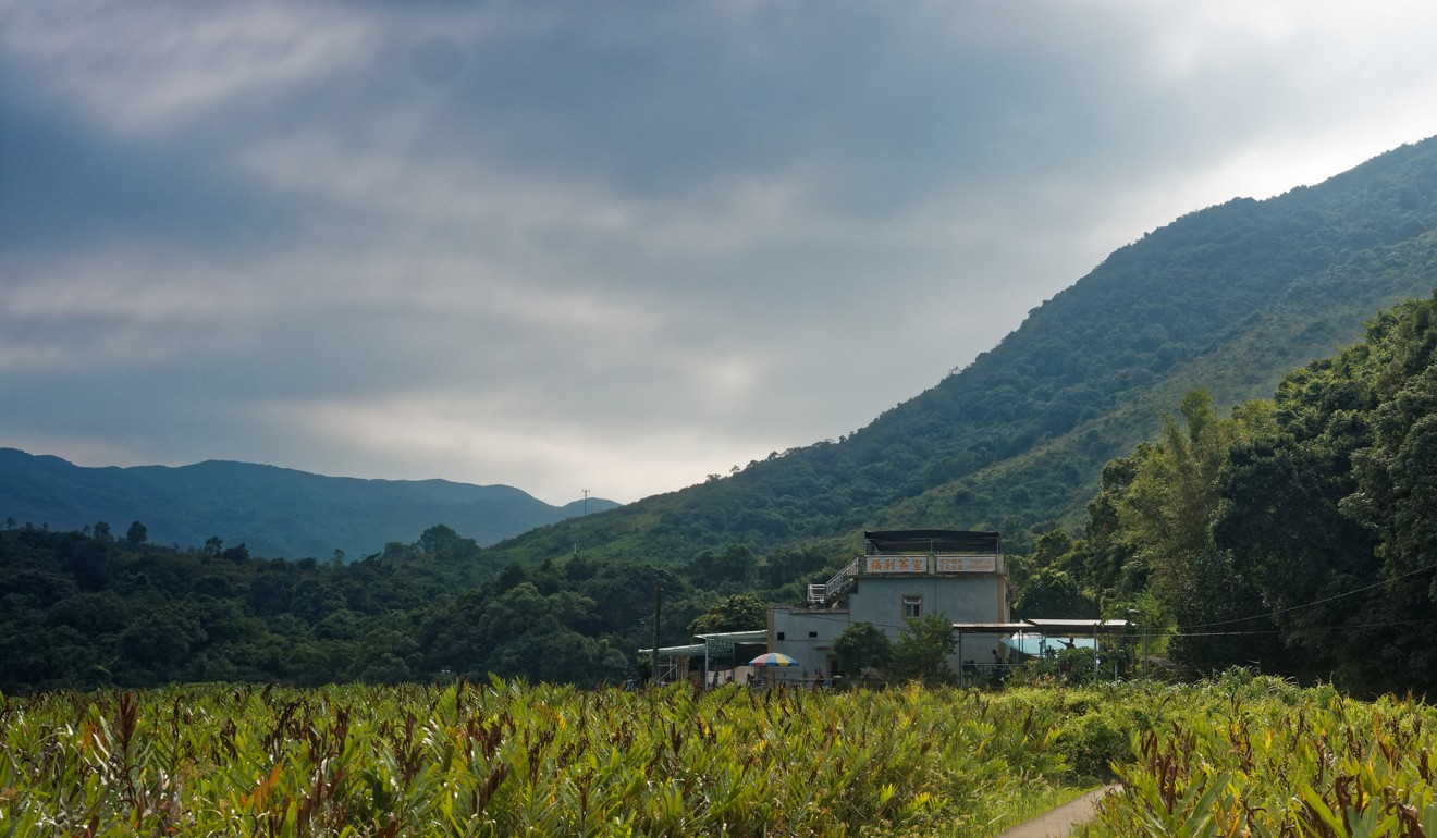 Sam A Tsuen in the New Territories. Photo: Martin Williams