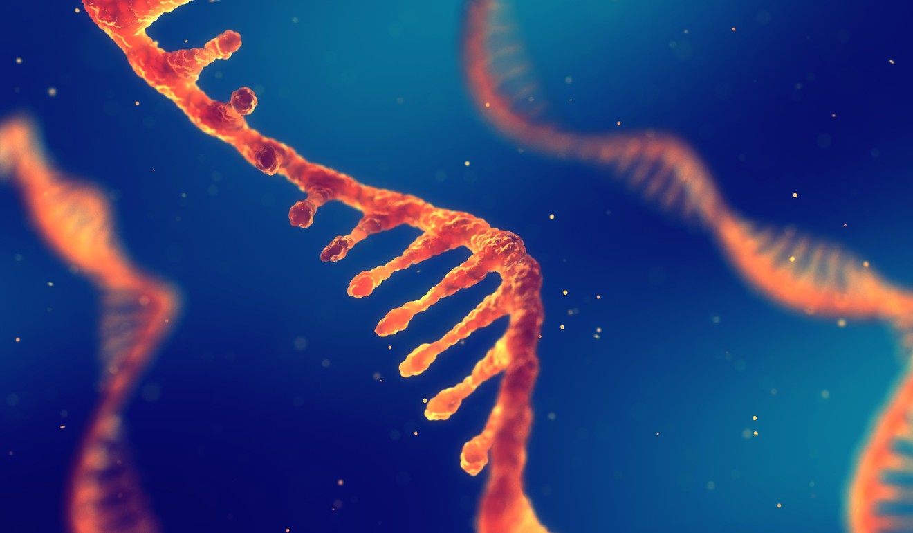 Scientists looked at RNA molecules in cells in the study. Photo: Alamy