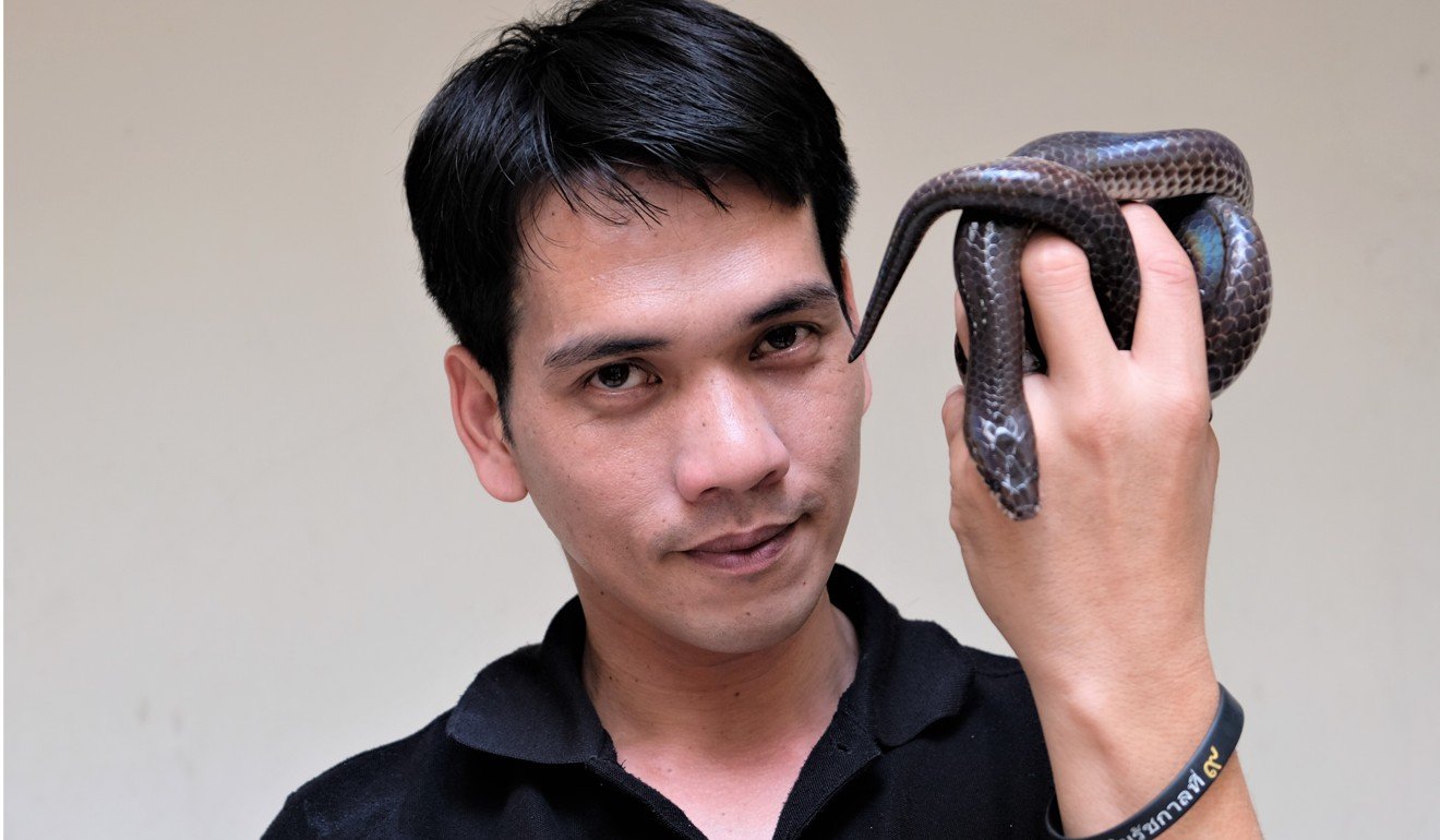 Chomngam posing with a sunbeam snake. Photo: Tibor Krausz