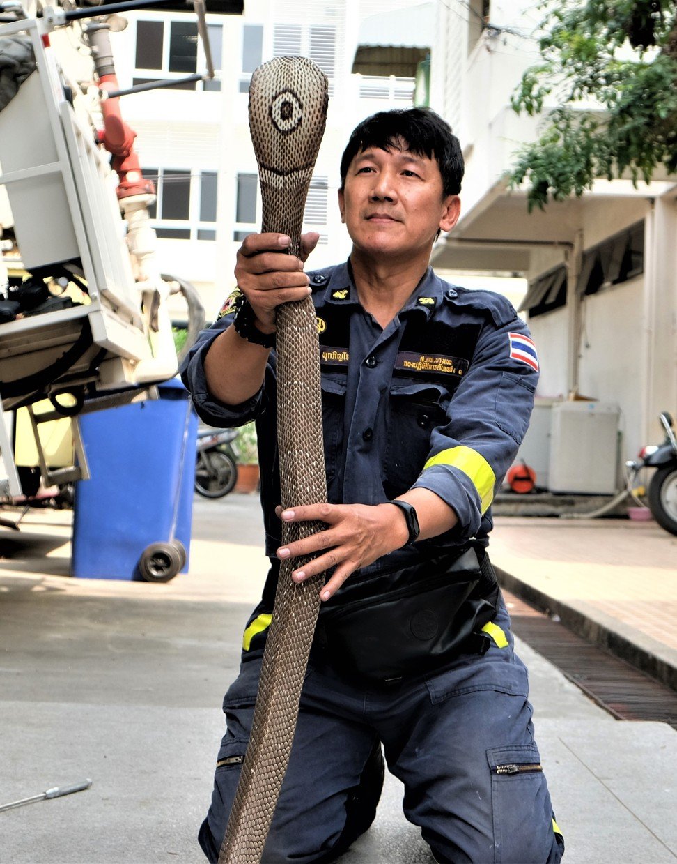 Pukpinyo handling a monocled cobra at his fire station in northern Bangkok. Photo: Tibor Krausz
