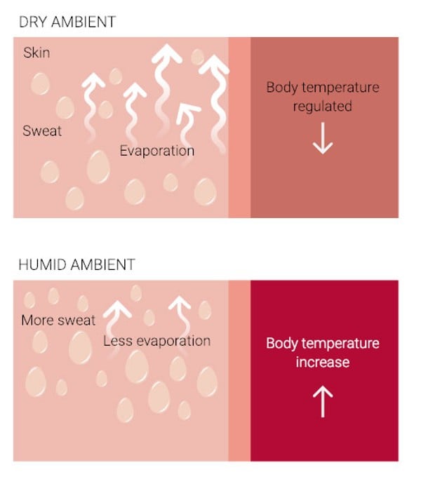 Excessive ambient humidity compromises the body’s ability to cool itself.