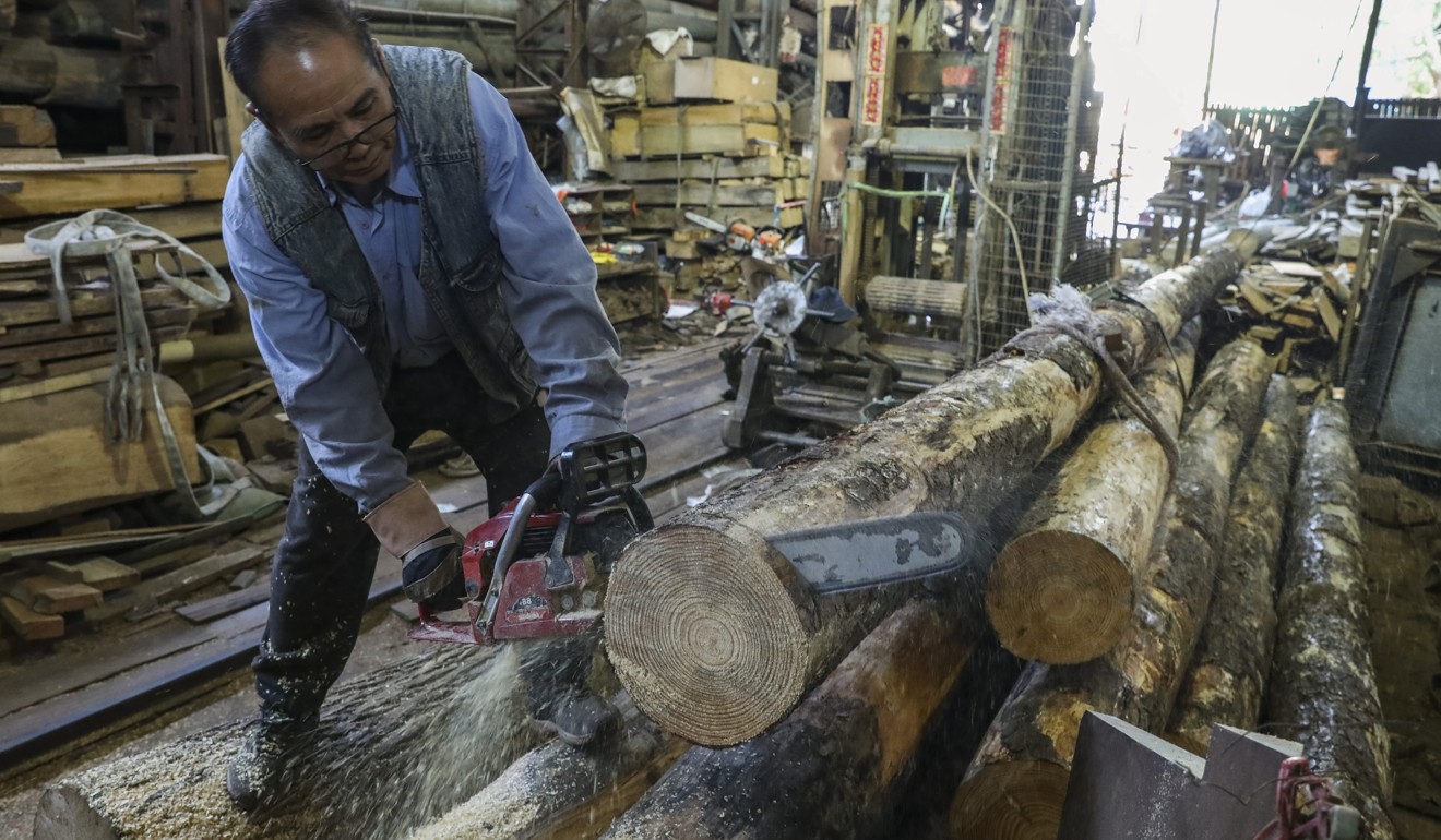 Wong Hung-kuen of Chi Kee Sawmill takes his saw to the wood. Photo: Dickson Lee