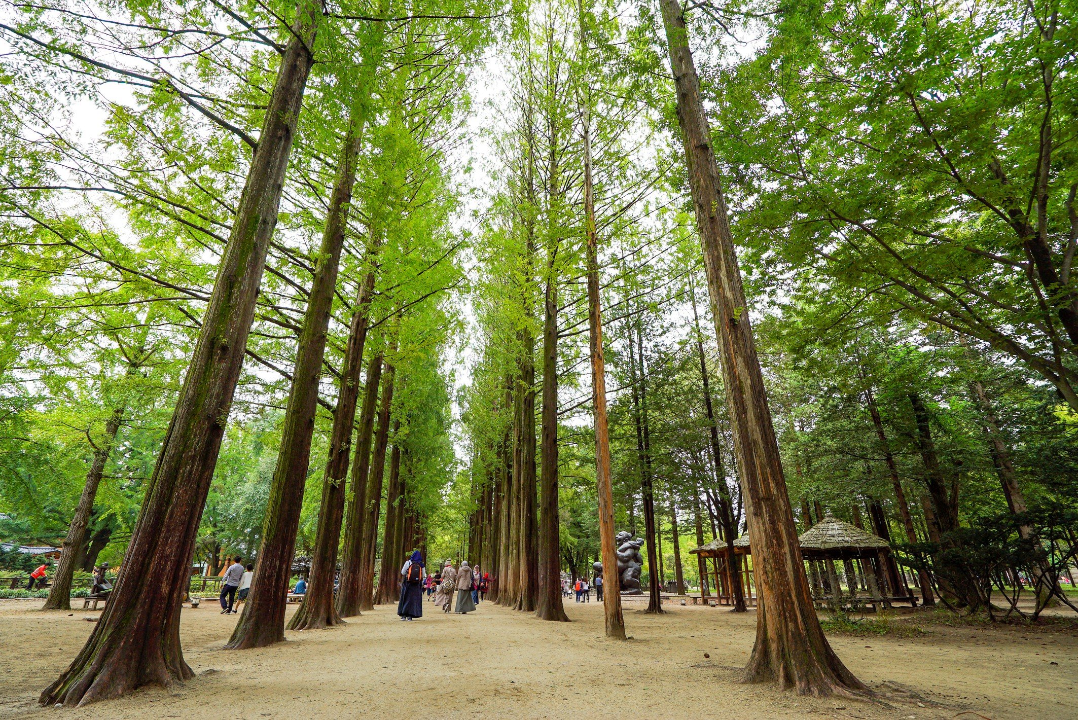 Nami Island from ‘Winter Sonata’ and 4 other must-visit K-drama TV ...