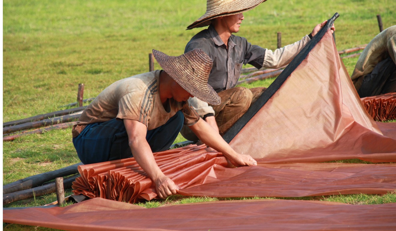 Farmers drying tea silk.