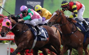 Owner Daniel Yeung Ngai confirms Sunday’s HK$14 million Group One feature will be the last outing for the five-time Group One winner