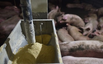 The fund aims to help farmers in remote villages sell their produce to customers in urban areas through e-commerce channels