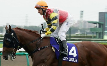Brett Prebble aboard Lucky Bubbles ahead of the Sprinters Stakes. Photos: Kenneth Chan