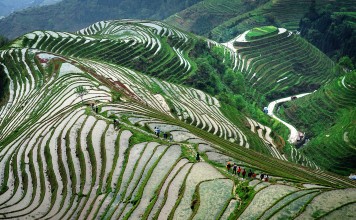 No deaths reported after blaze that reduced many of the houses in Xiaozhai village on the Longsheng rice terraces to ashes