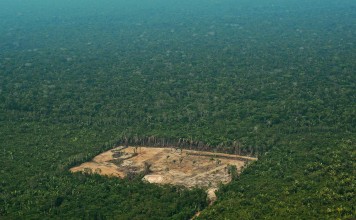 File photo of deforestation in the western Amazon region of Brazil. Photo: AFP