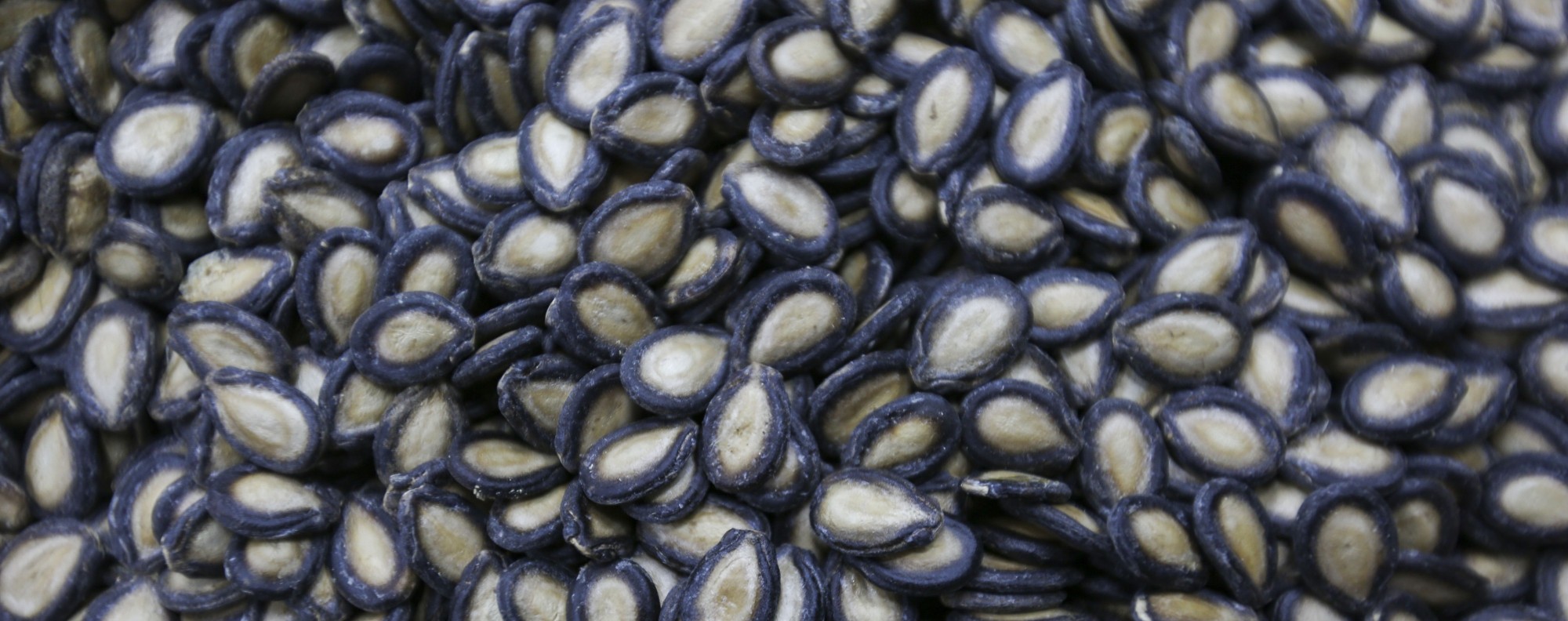 The son of Hong Kong’s ‘king of melon seeds’ keeps the family name