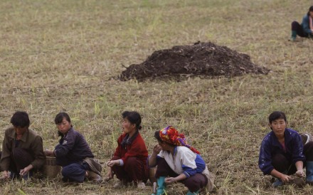 Farm workers in North Korea, which has been beset by years of food shortage. Photo: Reuters