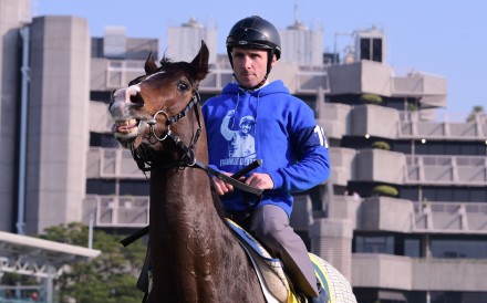 Signs Of Blessing and Stephane Pasquier at Sha Tin trackwork on Friday morning. Photos: Kenneth Chan