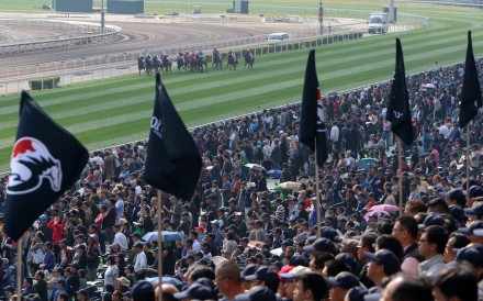 Fans watch the 2016 Hong Kong International Races. Photos: Kenneth Chan