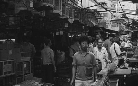 Hong Lok Street in Mong Kok, better known as Bird Street, was the most famous bird market in Hong Kong. Photo: David Wong