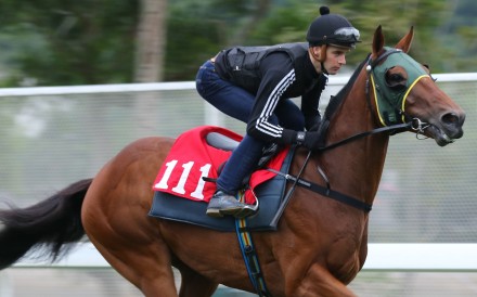 Sam Clipperton rides Grand Chancellor at trackwork on December 14. Photo: Kenneth Chan