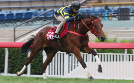 Joao Moreira rides Insayshable in a barrier trial at Sha Tin. Photo: Kenneth Chan