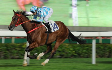 Conte cruises to a win on November 26. Photos: Kenneth Chan.