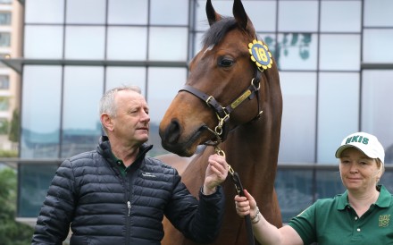 The Jockey Club’s Mark Richards with one of the horses that go under the hammer on Friday. Photos: Kenneth Chan