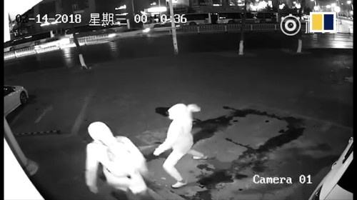 Attempted burglary failed miserably