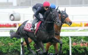 Zac Purton gives Dominant a solid hitout on the course proper ahead of Sunday's Champions & Chater Cup. Photo: Kenneth Chan