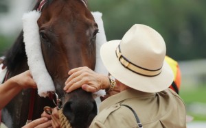 John Moore pats Flagship Shine (Douglas Whyte) after his gritty all-weather track win in the last race. Moore said the gelding may have just turned into a 2014 Hong Kong Derby candidate. Photo: Kenneth Chan