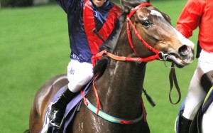 Joao Moreira took Happy Valley by storm last December, winning the International Jockeys' Championship. Photo: Kenneth Chan