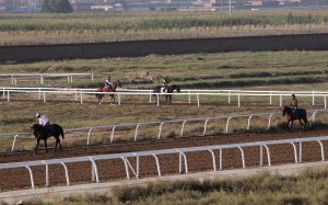 The dirt track was built in corn fields on the outskirts of Hohhot. Photos: David Wong