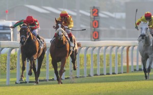Gold-Fun took advantage of a pull in the weights to win Sunday's Oriental Watch Sha Tin Trophy. Photo: Kenneth Chan.