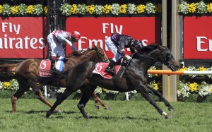 Gerald Mosse's ride on Red Cadeaux in Tuesday's Melbourne Cup was sensational, but Fiorente (Damien Oliver, outside) proved too strong late. Photo: AP.