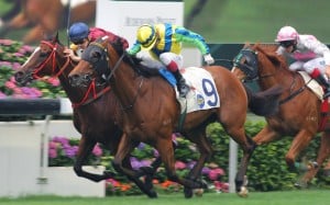 Tye Angland (inside, Go Baby Go) and Olivier Doleuze (outside, Rich Tapestry) went stride for stride in the Group Two Sprint Cup in April, with Doleuze just winning. Who would win a battle off the track? Photo: Kenneth Chan
