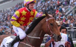 Designs On Rome had won three Group One races this season - the Audemars Piguet QE II Cup, the BMW Hong Kong Derby and the Classic Cup - but he couldn't overcome a soft tempo in the Champions & Chater Cup at a short quote. Photo: Kenneth Chan