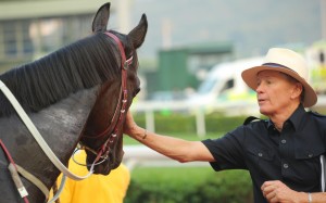 John Moore won't race Dan Excel in the Cox's Plate because of a throat issue. Photo: Kenneth Chan