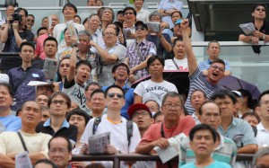 Punters at Sha Tin could easily form the latest 'Occupy' camp with a number of gripes. Photo: Kenneth Chan