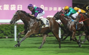 Medallist drives through in the pouring rain to win the seventh race on Wednesday night. Naturally, it was a selection of "the beginner". Photos: Kenneth Chan