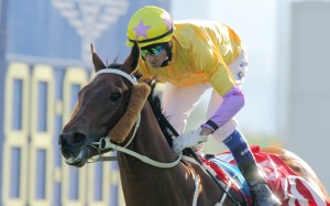 Peniaphobia wins the Jockey Club Sprint, a tale of being away from the rail while others nearer the fence ran into insurmountable problems. Photo: Kenneth Chan