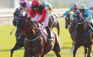 Karis Teetan guides Country Melody to his second victory from as many starts, giving trainer John Size his 15th win of the season. Photos: Kenneth Chan 