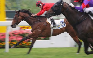 Zac Purton passes the post on Paul O'Sullivan's Line Seeker, just holding on to win the Griffin Trophy from a fast-finishing Sky Hero (Douglas Whyte). Photos: Kenneth Chan